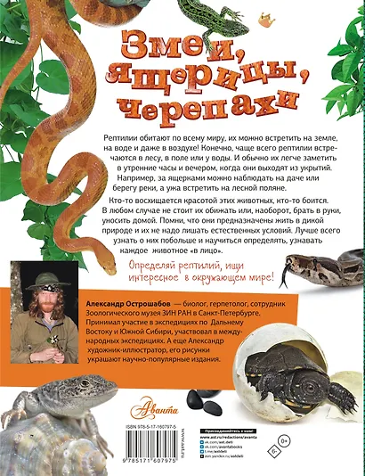 Змеи, ящерицы, черепахи - фото 2