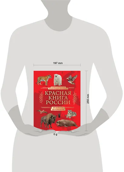 Красная книга России. От Байкала до Камчатки. Иллюстрированная энциклопедия школьника (48 стр.) - фото 4