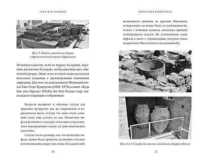 Признания египтолога. Утраченные библиотеки, исчезнувшие лабиринты и неожиданная правда под сводами пирамид в Саккаре - фото 6