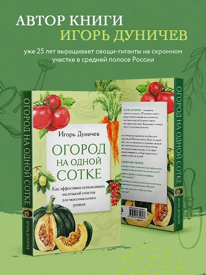 Огород на одной сотке. Как эффективно использовать маленький участок для максимального урожая - фото 6