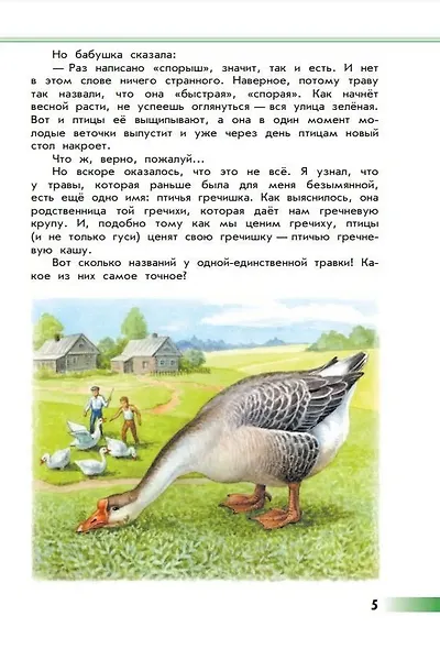 Плешаков. Зелёные страницы. /ШкР - фото 8