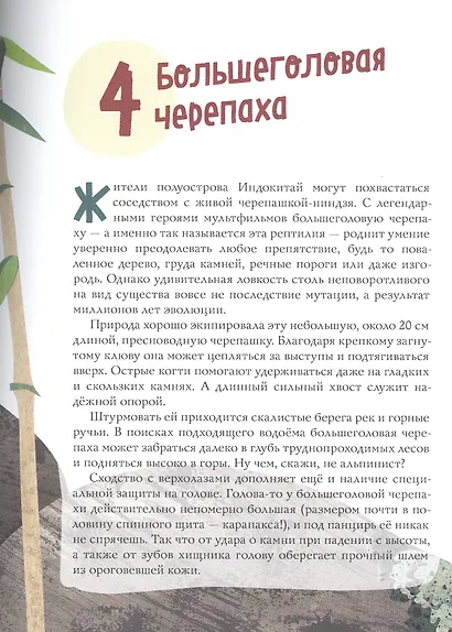 Великолепная десятка. Черепахи - фото 4