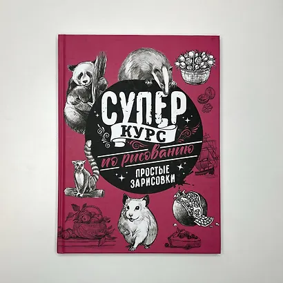 Суперкурс по рисованию. Простые зарисовки - фото 3