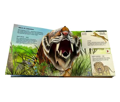 Животные. Большая наглядная 3D-энциклопедия - фото 10