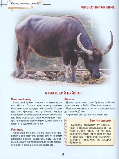 Энциклопедия для детей кто в джунглях живет? - фото 4