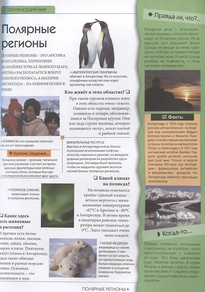 Большой подарок будущему отличнику. Детская энциклопедия - фото 3
