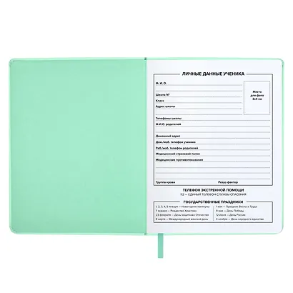 Дневник школьный Феникс+, "Мятный" - фото 4
