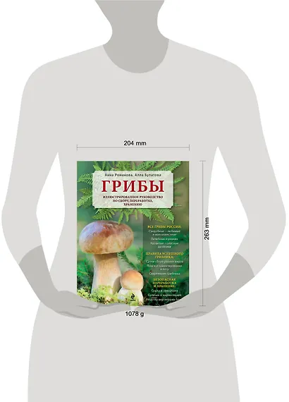 Грибы. Иллюстрированное руководство по сбору, переработке, хранению - фото 3