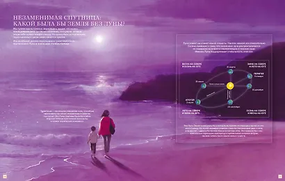 Удивительная Луна. Истории и загадки спутника Земли - фото 5