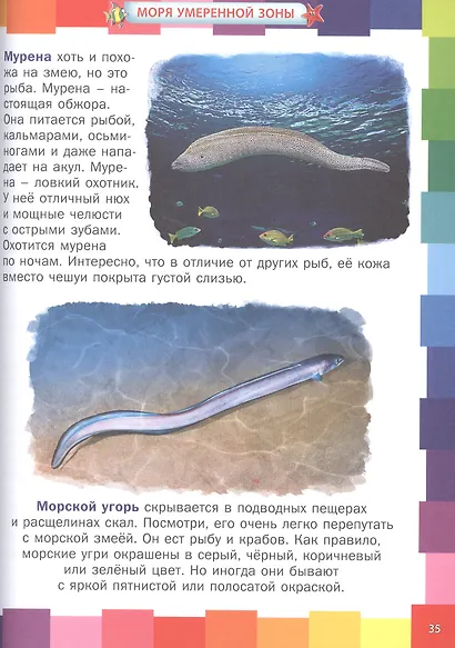 Животные морей и океанов. Энциклопедия для самых маленьких - фото 4