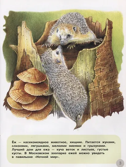 Герои сказок. Наклейки. Интересные факты. Карта зоопарка - фото 4