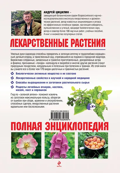 Лекарственные растения на даче и вокруг нас: полная энциклопедия - фото 2