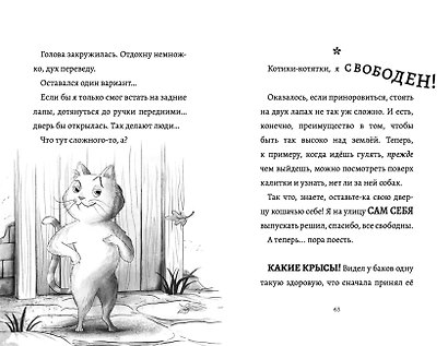 Дневник кота в сапогах - фото 8