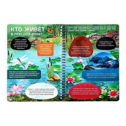 Жизнь на земле. Животные и где они обитают - фото 3