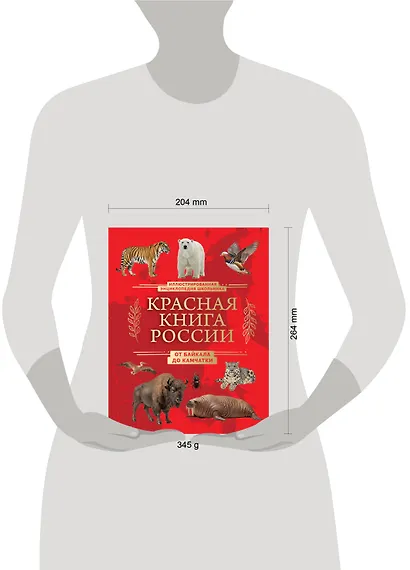 Красная книга России. От Байкала до Камчатки. Иллюстрированная энциклопедия школьника (48 стр.) - фото 7