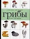 Справочник-определитель.Грибы.Более 120 видов - фото 1