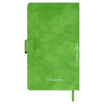Ежедневник недат. А6+ 120л 110x190 "Тиволи" зеленый, кожзам, тв.переплет, тисн.фольгой, магнит.клапан, офсет, загругл.углы, справ.мат-лшы, ляссе, инд.уп - фото 11