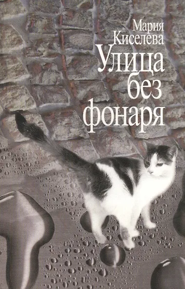 Улица без фонаря - фото 1