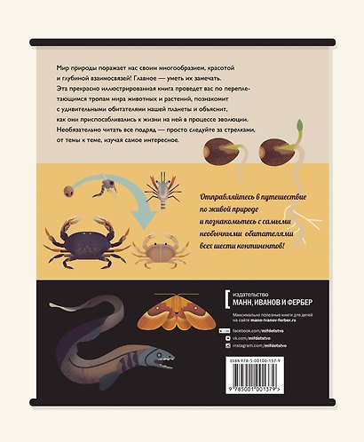 Мир природы. Иллюстрированный сборник удивительных фактов - фото 2
