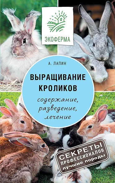 Выращивание кроликов - фото 1