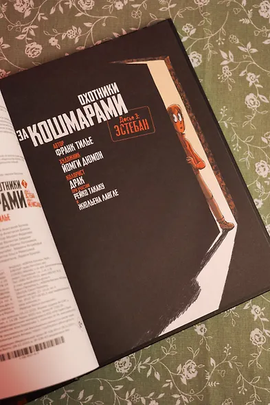 Охотники за кошмарами. Книга 2. Досье 3: Эстебан; Досье 4: Мелиссандра - фото 11
