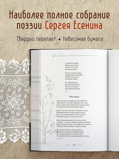 Поэзия. Все в одной книге - фото 5
