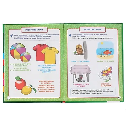 Полный годовой курс. 2-3 года - фото 5