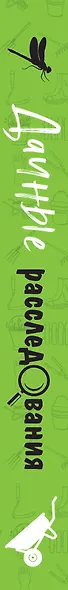 Дачные расследования - фото 5