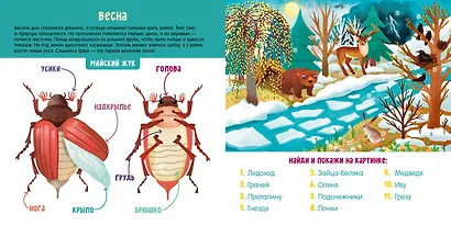Первые слова малыша. Визуальные словари. Времена года. - фото 4
