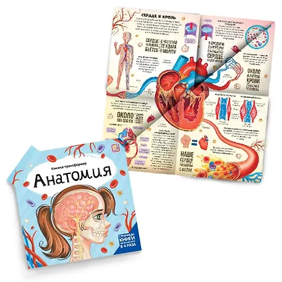 Анатомия : книжка-трансформер - фото 2
