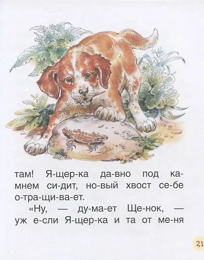 Рассказы о животных - фото 5