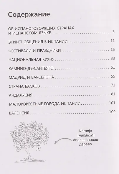 Испанский язык: визуальный словарь-раскраска - фото 5