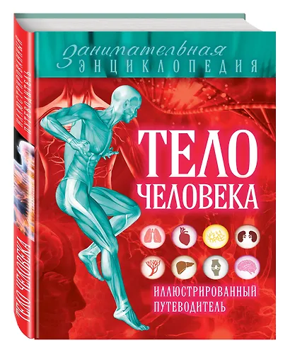 Тело человека: иллюстрированный путеводитель - фото 3