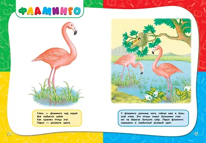 Годовой курс занятий: для детей 1-2 лет - фото 9