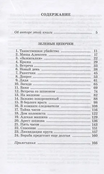 Зеленые цепочки - фото 2