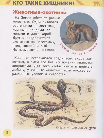 Дикие животные (Энциклопедия для детского сада) - фото 3