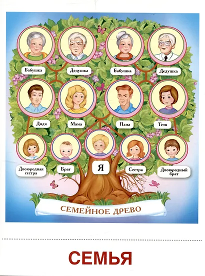 Дем. картинки СУПЕР Семья. 8 демонстр.картинок с текстом (173х220мм) - фото 3