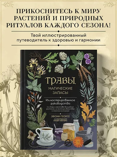 Травы. Магические запасы. Иллюстрированное руководство по сбору и заготовке волшебных растений, их полезным свойствам и сезонным ритуалам - фото 4
