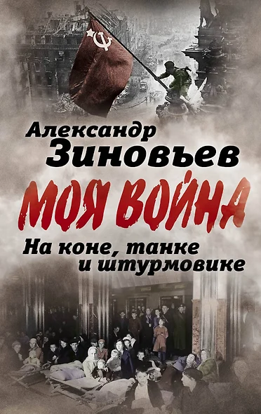 На коне, танке и штурмовике. Записки воина-философа - фото 1