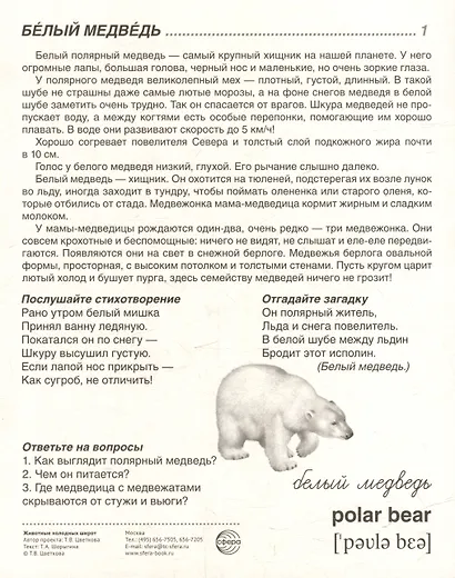 Демонстрационные картинки "Животные холодных широт". 16 демонстрационных картинок с текстом на обороте - фото 4