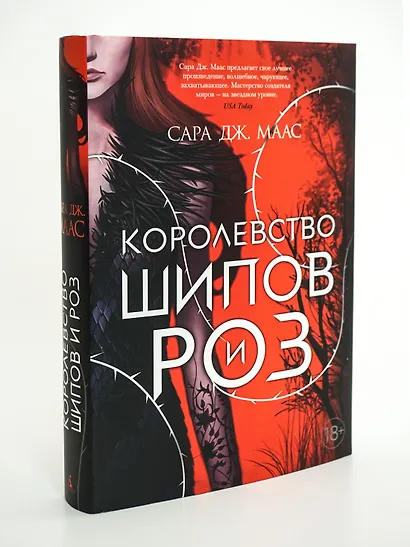 Королевство шипов и роз - фото 7