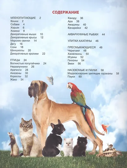 Энциклопедия для детей наши любимые питомцы - фото 2