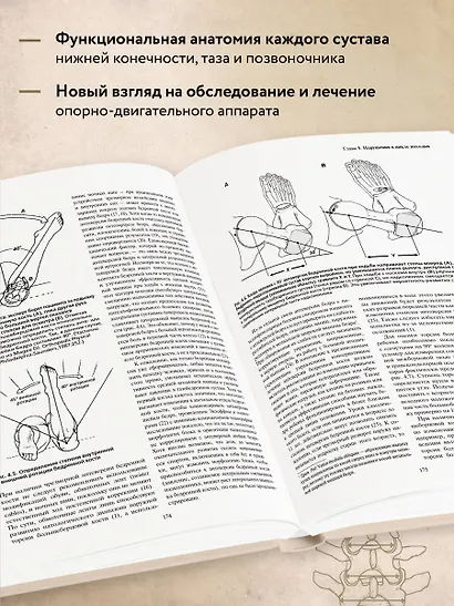 Локомоция человека. Протокол обследования, оценка, лечение и профилактика травм, связанных с циклом походки - фото 5