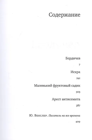 Бердичев - фото 2