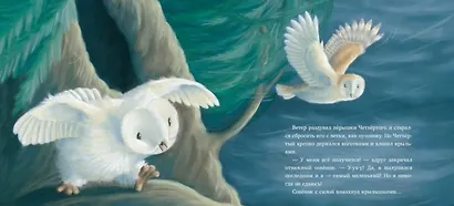 Самый маленький совёнок - фото 3