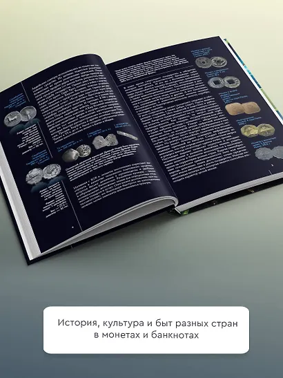 Деньги. Иллюстрированный гид - фото 5