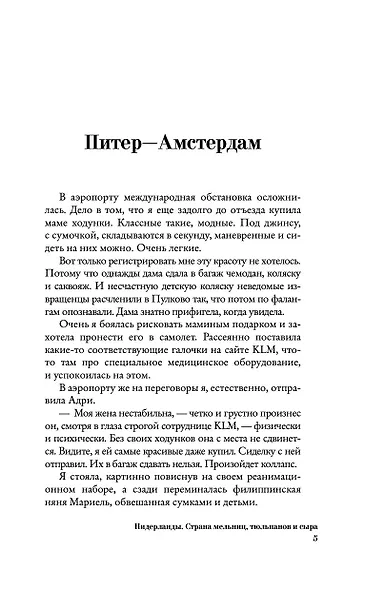 Нидерланды. Страна мельниц, тюльпанов и сыра - фото 8