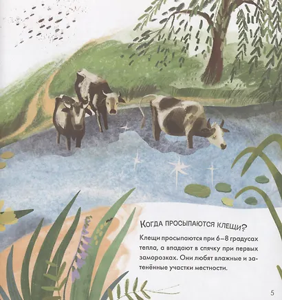 Подсказки в сказке. Чем знаменит Кусь? - фото 3