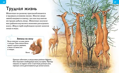Большая энциклопедия для любознательных - фото 4