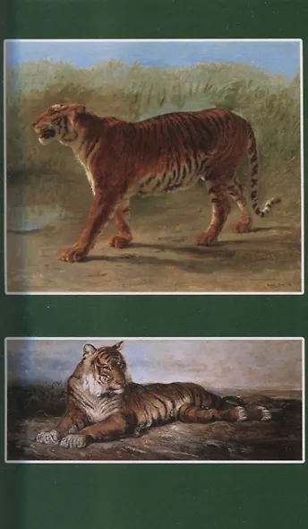 На далеком Востоке. Том 2 - фото 4